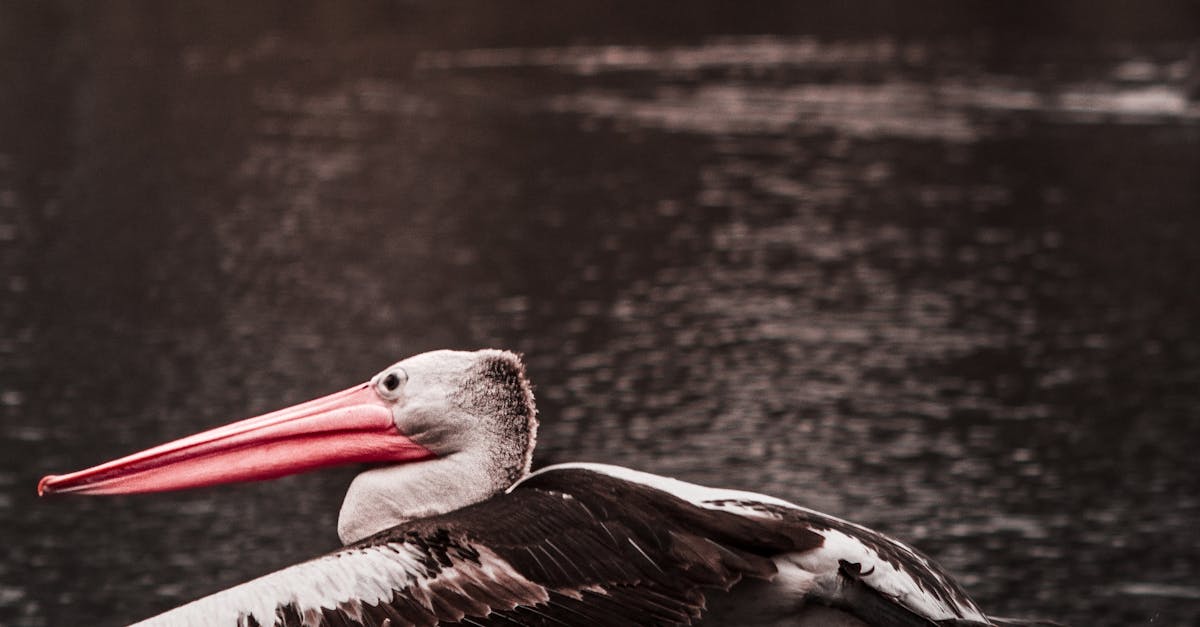 Building Resilience and Positive Mindset in Students