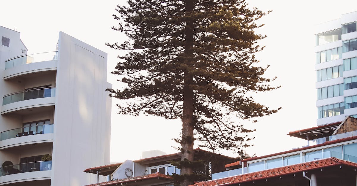 Effective Homework Help Strategies for Perth Students