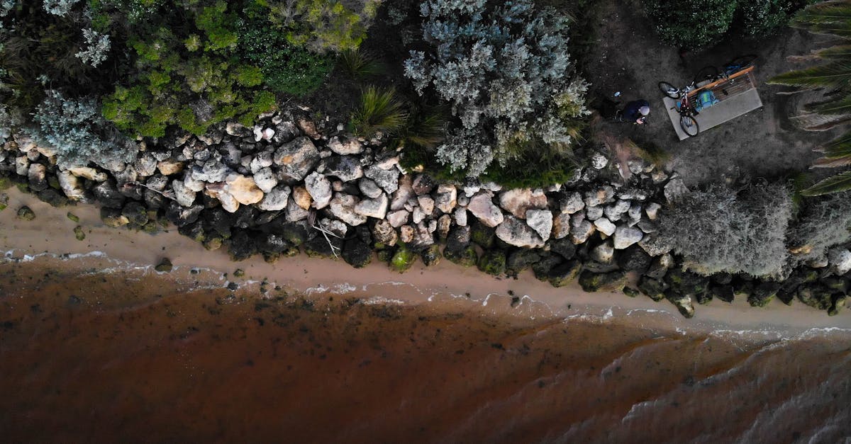 Flexibility and Convenience: A Look at Online Tutoring