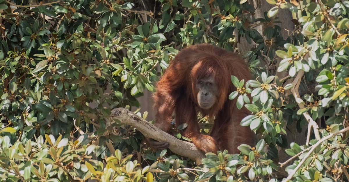 How One-on-One Tutoring Can Reduce Exam Anxiety