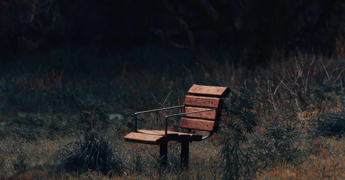 Importance of Setting Goals in Online Education