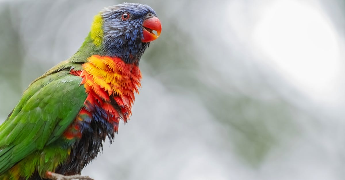 Navigating Exams: The Importance of Practice Papers