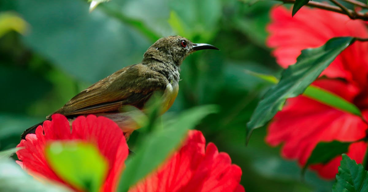 Tailoring Learning Experiences in One-on-One Tutoring